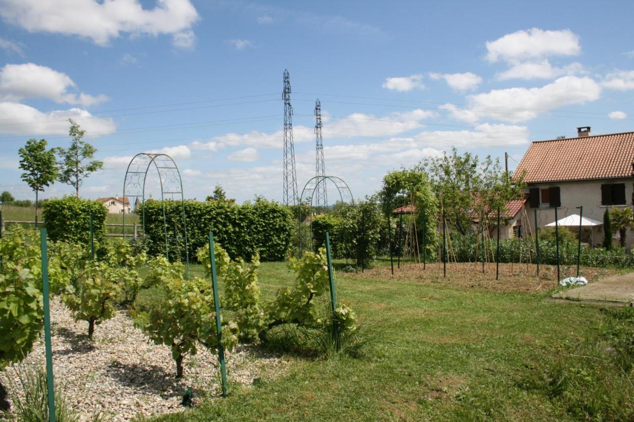 1 Bedroom House 20Min Walk To Centre In Tournus Εξωτερικό φωτογραφία